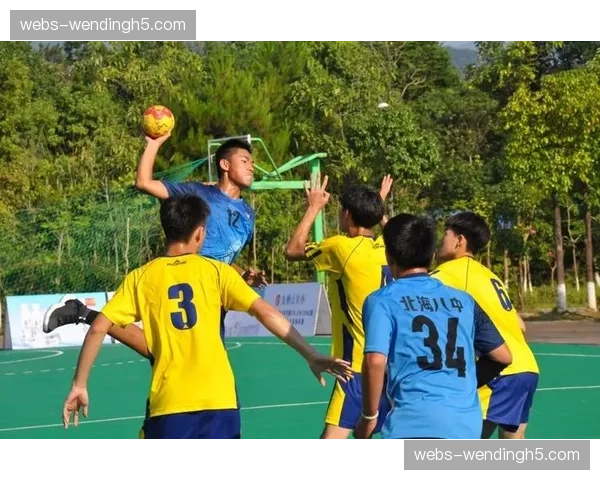 全国青少年校园手球联赛U14、U16、U18报名运动员必须参加体能测试